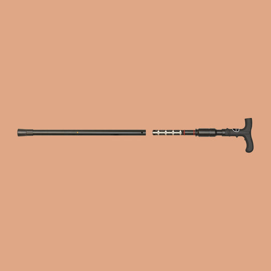 ZAP Walking Cane w/ Case
